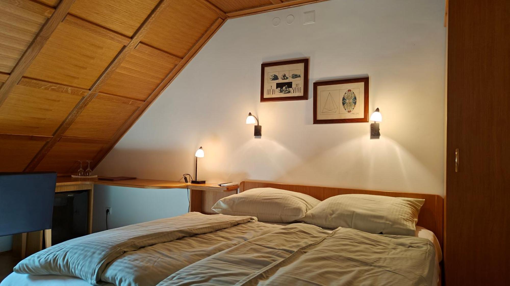 Guesthouse Pri Zalogarju Zelezniki Luaran gambar